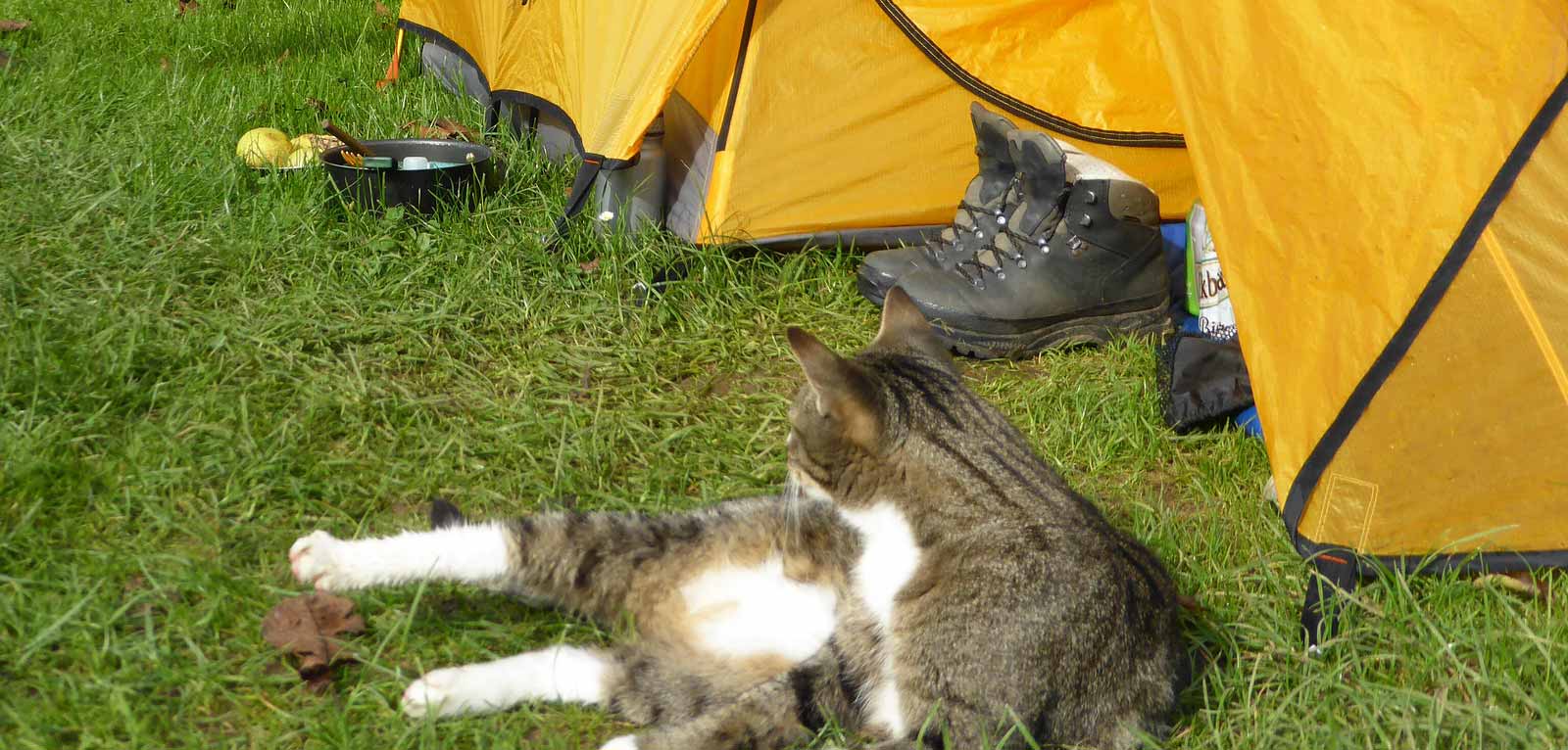 tente emplacemen camping sisteron