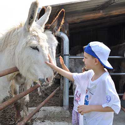 ferme pedagogiques