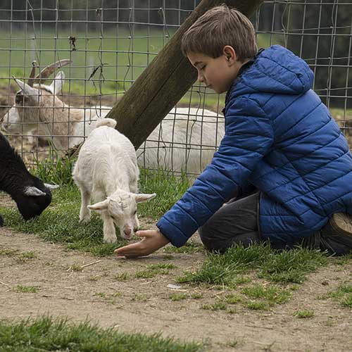 ferme pedagogiques